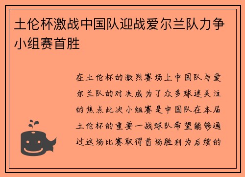 土伦杯激战中国队迎战爱尔兰队力争小组赛首胜